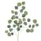 Dusty Green Eucalyptus Stem by Ashland&#xAE;